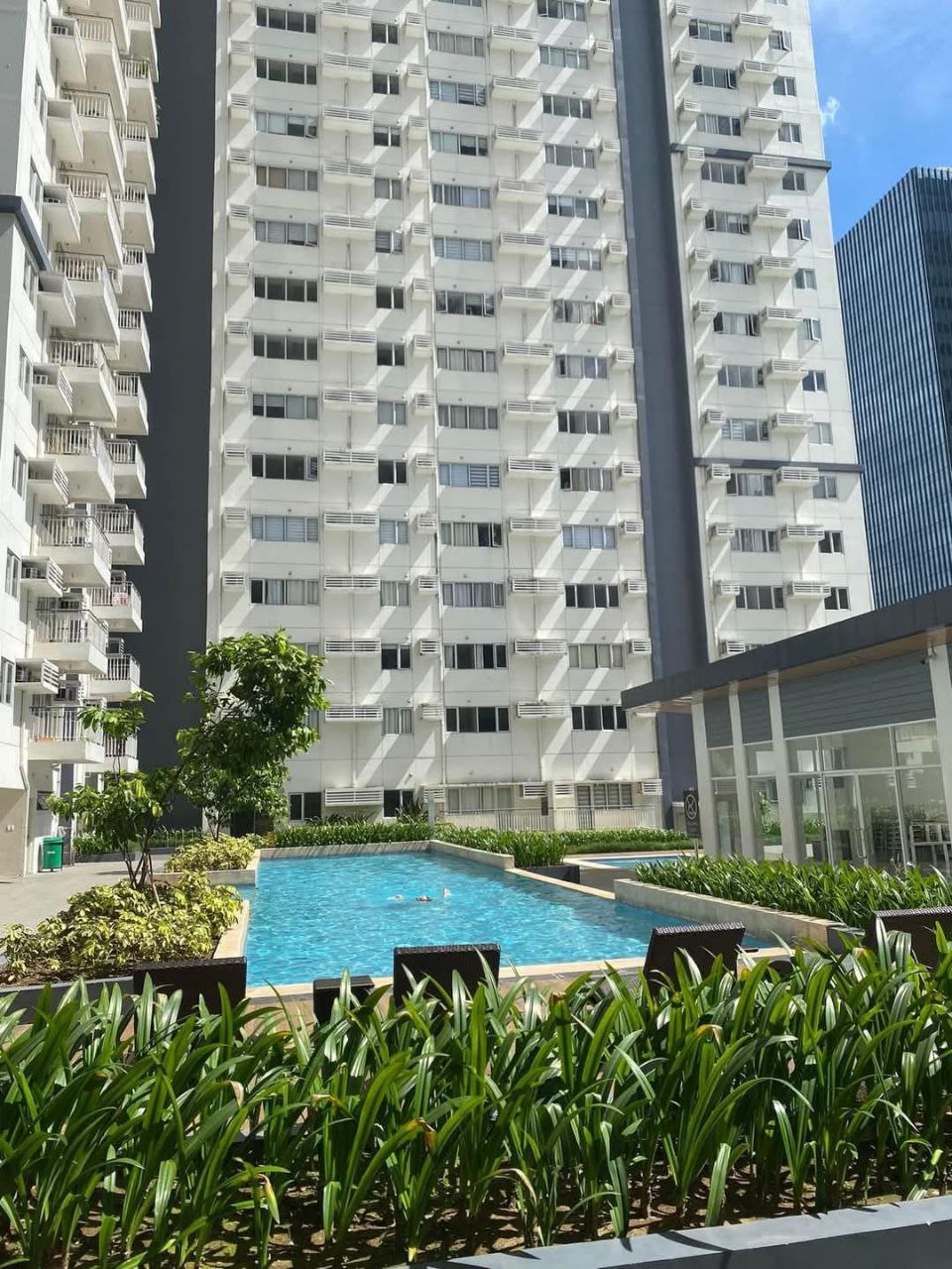 AVIDA TURF BGC