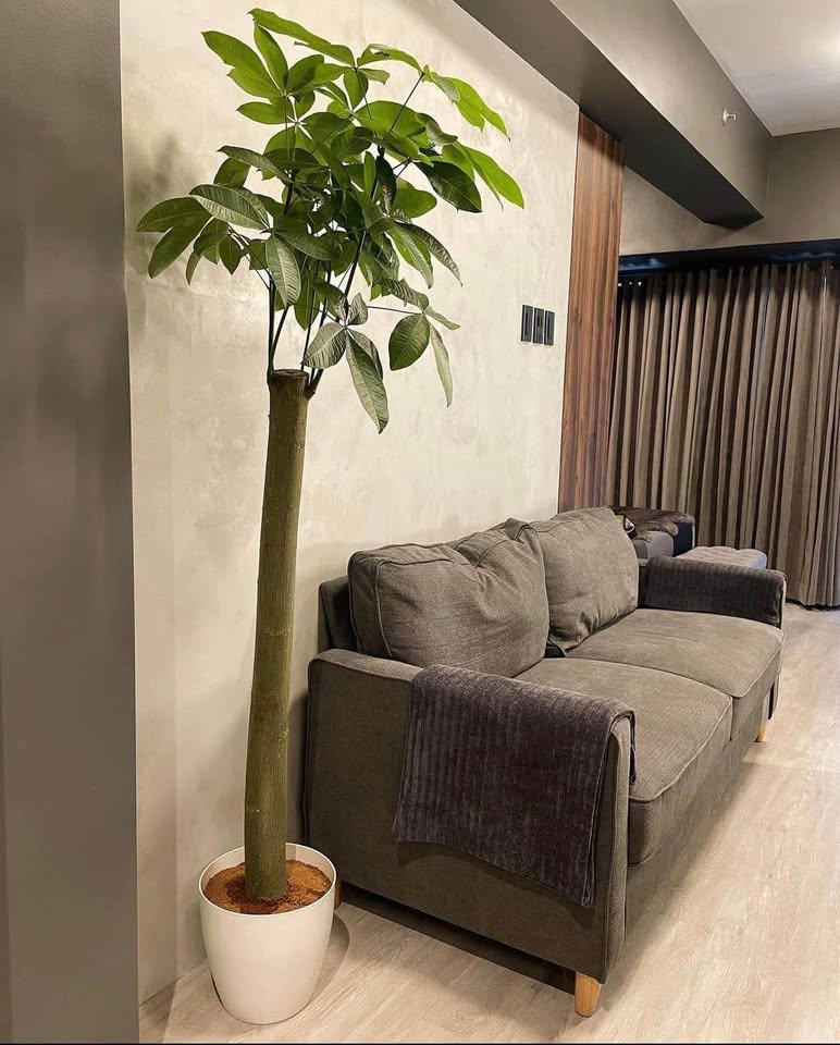 Shore 3 Residences