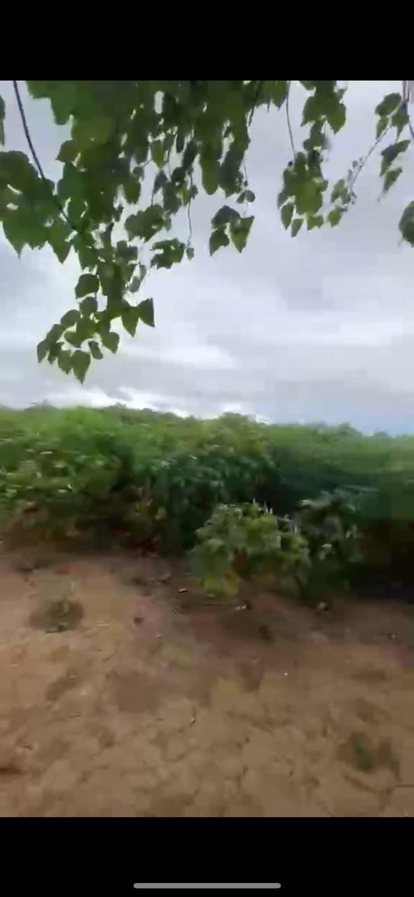 Commercial For Sale in San Agustin