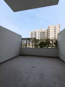 Azizi Candace Acacia